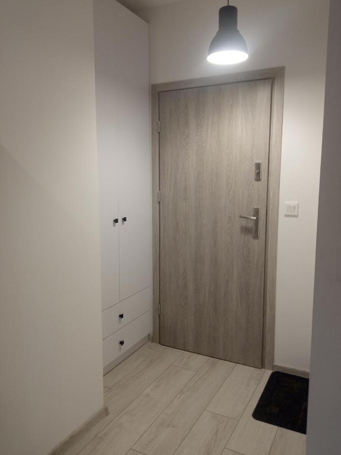 Apartament Wolnosci Jelenia Gora Oda fotoğraf